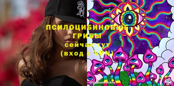 стафф Белокуриха