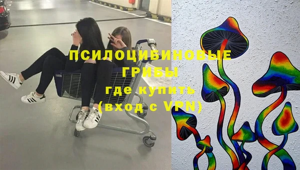гашик Баксан