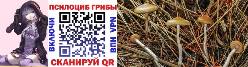 Галлюциногенные грибы Magic Shrooms  мега ONION  Шуя 